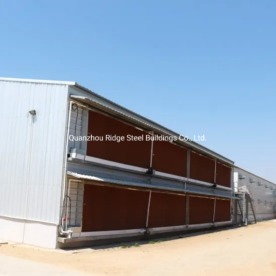 Low Cost Steel Frame Poultry Farm Design Shed Structure Building for Chicken Duck House