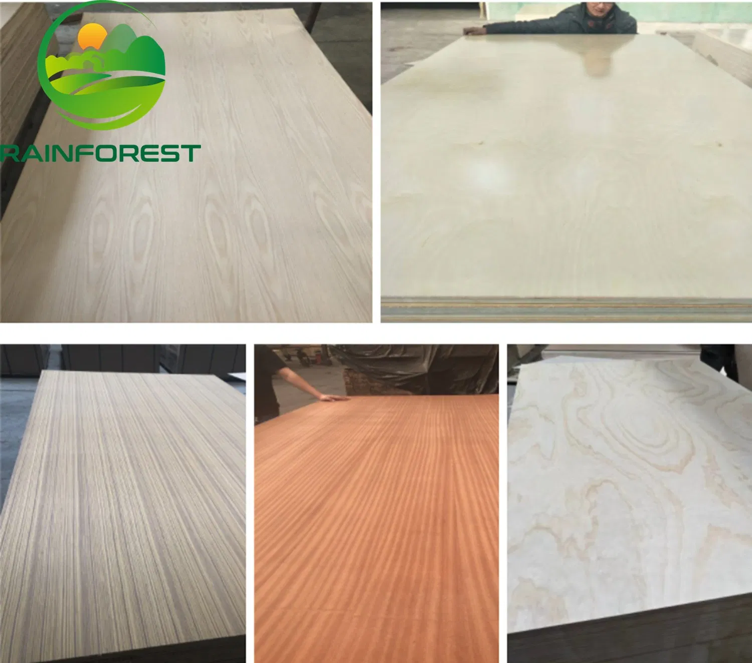 1220X2440X18mm Cheap Melamine Faced Plywood for Construction