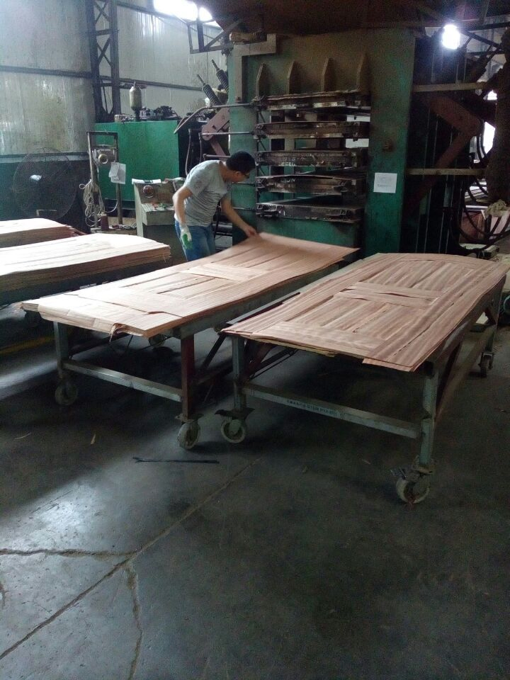 High Quality Manufacture Melamine Door Skin White Primer Door Skin