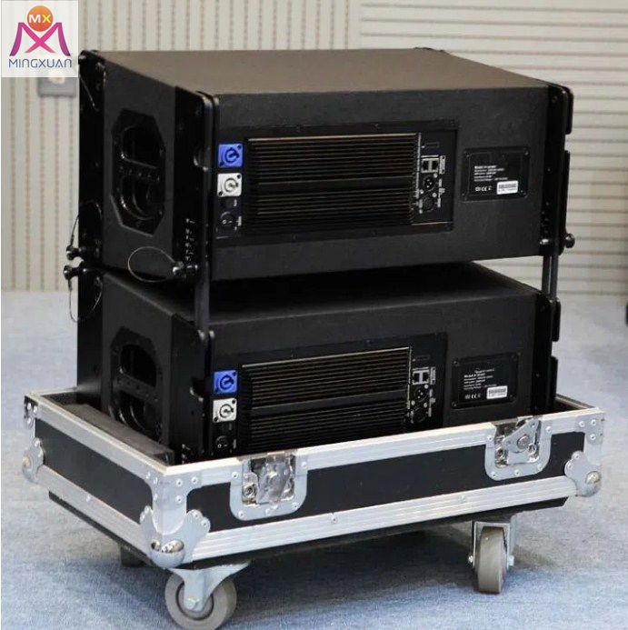Professional Neodymium Line Array 10 Inch 600W/1200W Trolley Rechargeable Battery Outdoor DJ Sound System