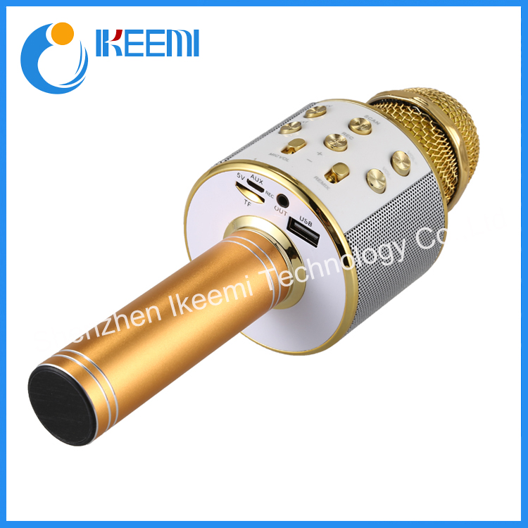 Ws858 Karaoke Microphone, Support USB MP3 and USB Disco Light
