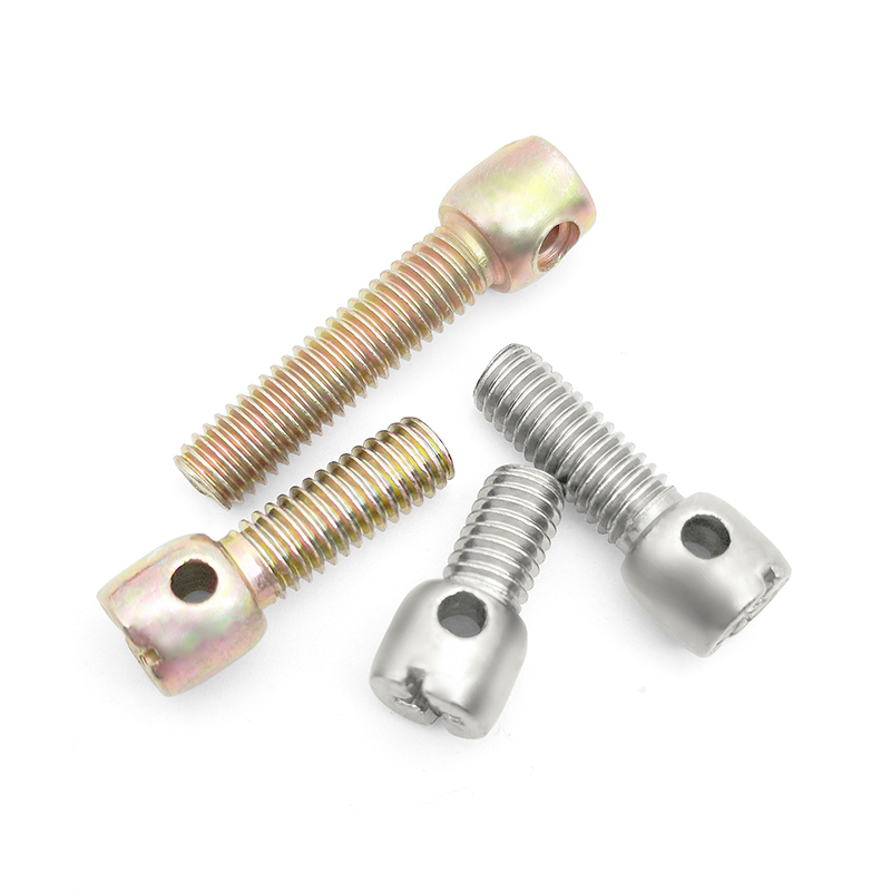 DIN 404 M3m4m5m6 Stainless Steel Slotted Capstan Captive Screws for Electricity Meter Box