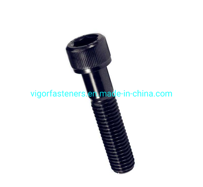 DIN912 High Quality Stainless Steel Socket Head Cap Screw with ISO Certification