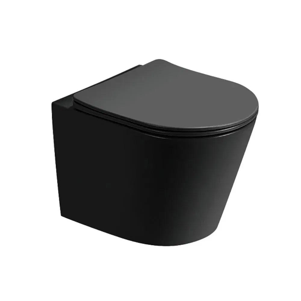 New Matt Black Ceramic Women Toilet Bidet Wall Mounted Wc Bidet Set