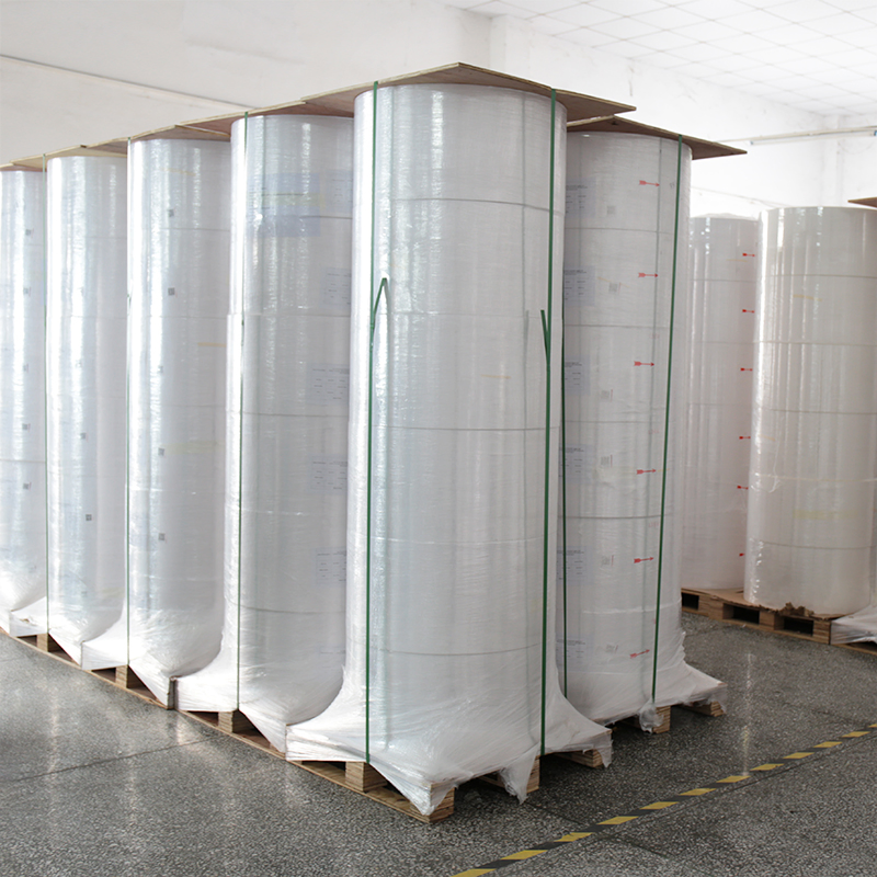 Custom Information Masking Label Semi-Gloss Direct Thermal PP Film Self-Adhesive Label Material