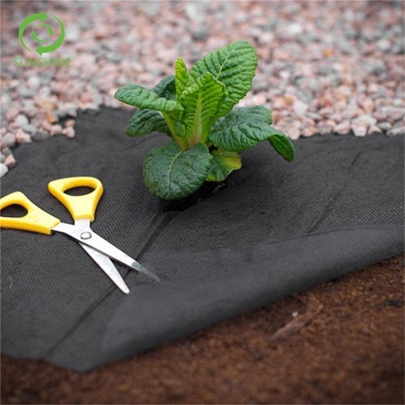 Spunbond Non Woven Agriculture Landscape Nonwoven Plant Cover Fabric