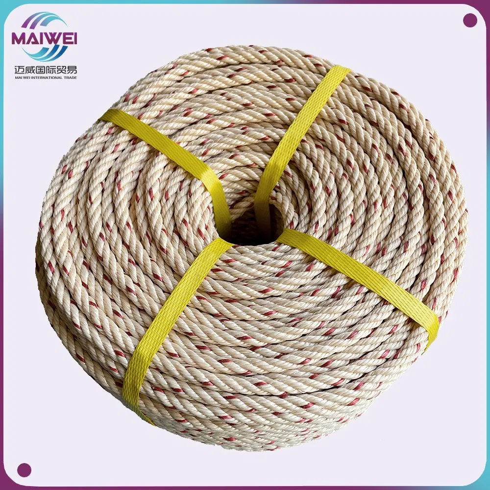 PP/Polypropylene PE/Polyethylene Plastic Mooring Twisted Rope Nylon Twine Polyester Rope Braided Rope PP Tali Manila Rope