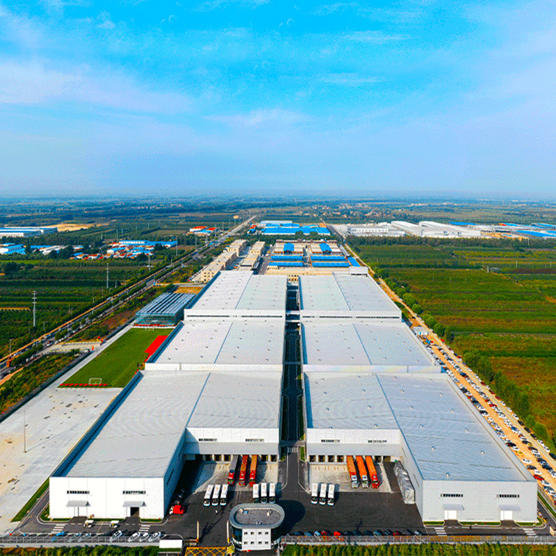 Affordable Customized Steel Structure Hangars for Industrial Use