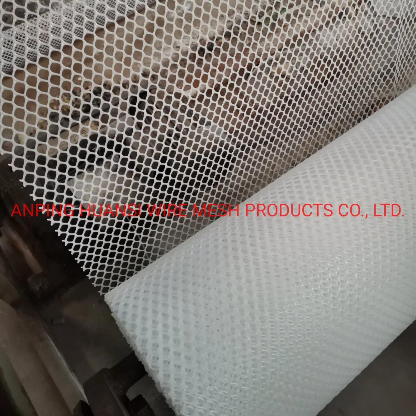 HDPE Extruded Plastic Mesh Used for Grass Protection/Poultry Farm