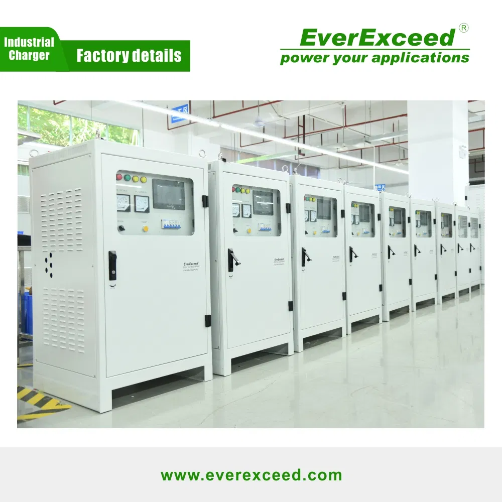 Low Price CE Approved Everexceed 125V Chargers Modual DC Charger