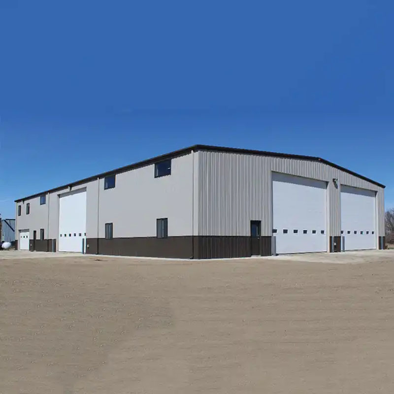 Luxury Container House All with Steel Structure Prefab House