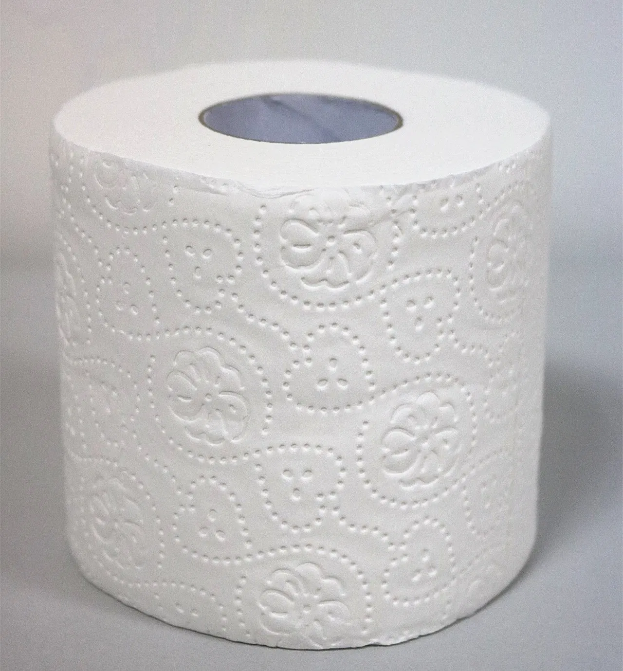 Premium Europe Asorbent 100% White Bathroom Roll