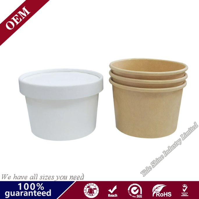 Ice Cream Yogurt Cups Rice Bowl with Plastic Lid