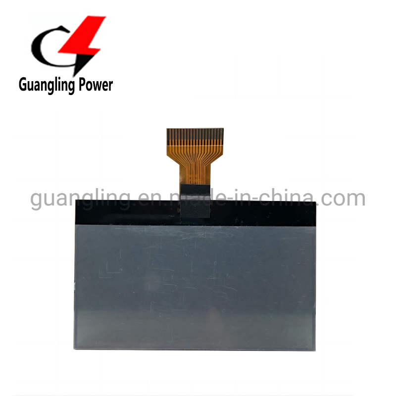 Good Price LCD Screen 132X64 Cog Display Graphic for Deepsea Controller 8610