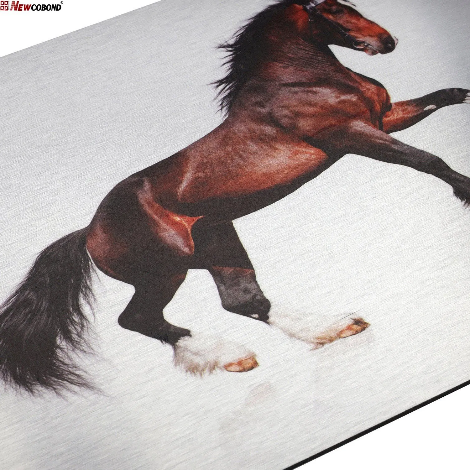 China Factory UV Printing ACP Aluminum Composite Panel for Advertising Signs