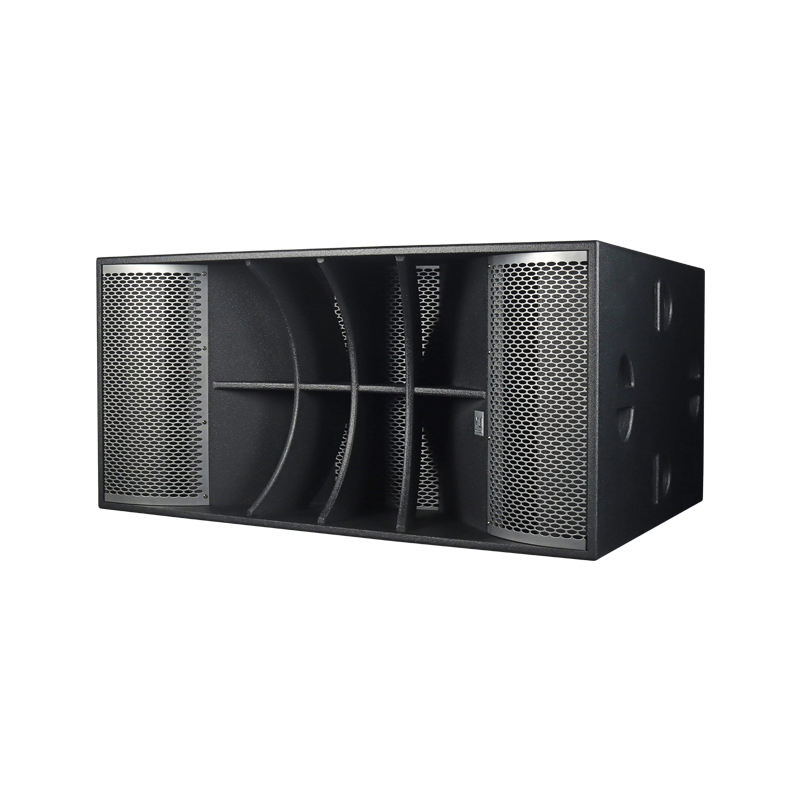 Dual 18-Inch High-Power Speakers for Events and Parties