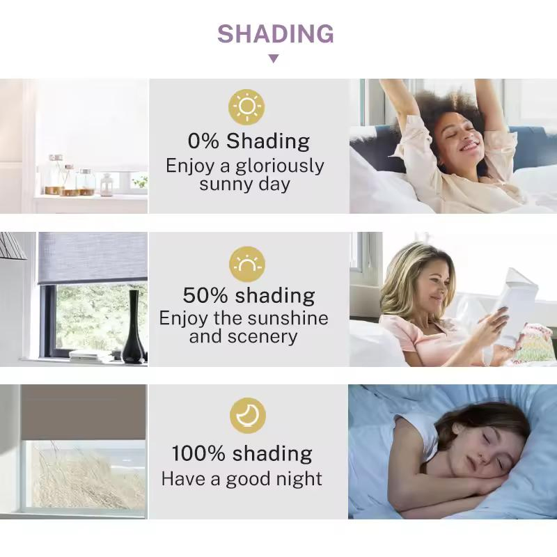 Hot Sale Electric Motorized Window Roller Blind for Office House Window