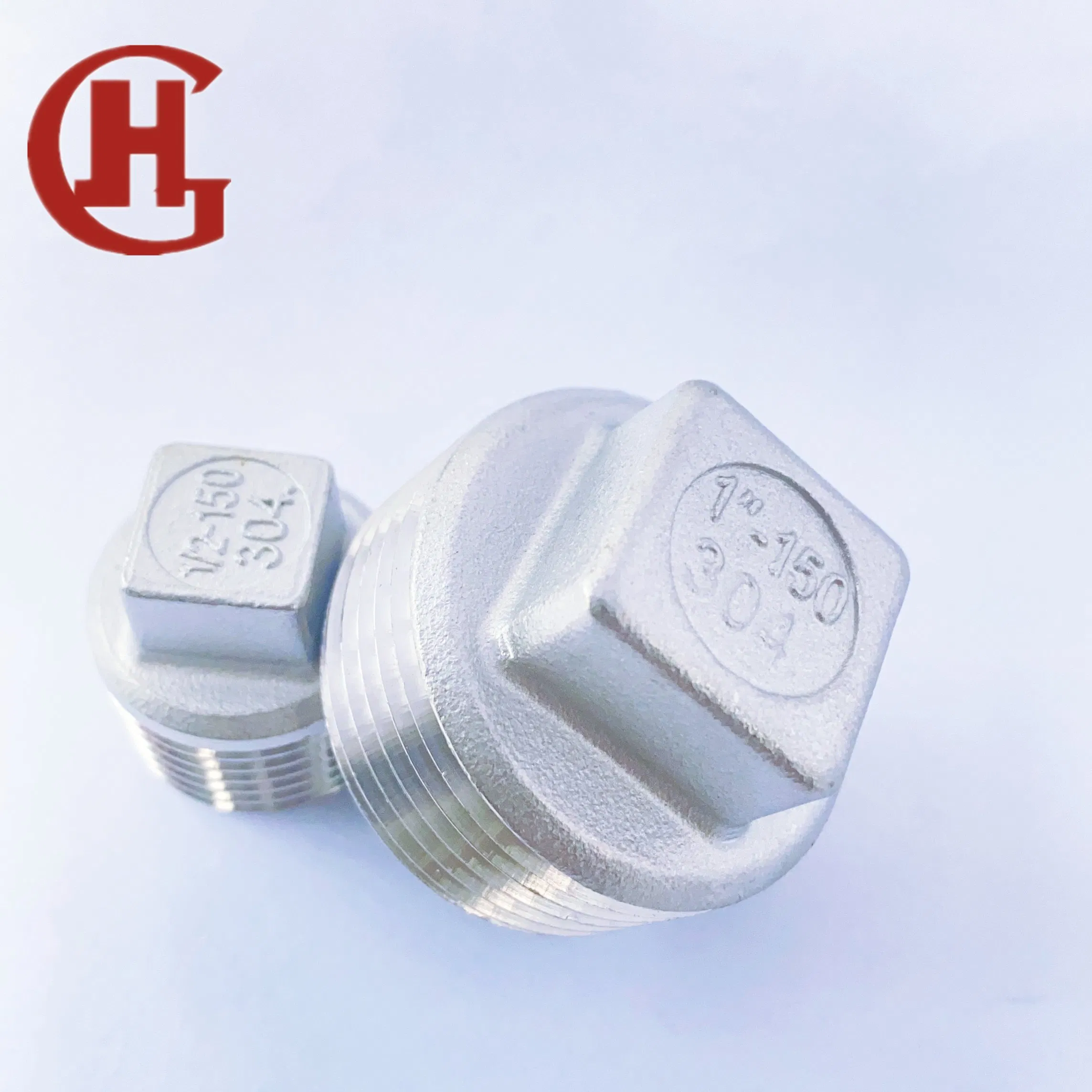 Stainless Steel Pipe Fitting SS304 Thread Screw Plug