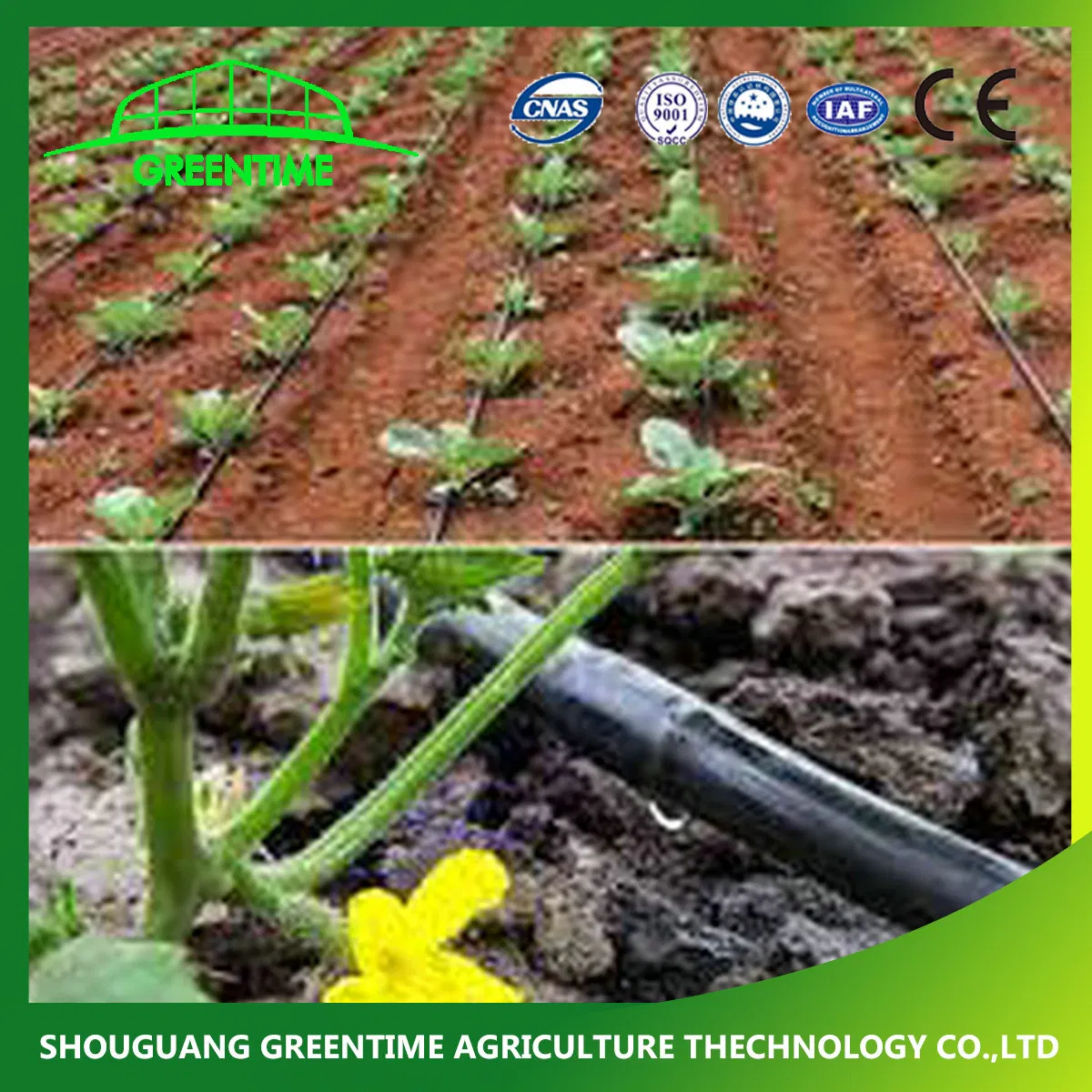 Irrigation System DN 16mm Drip Irrigation Tape with Inner Dripper for Agricultural Hydroponic Growing