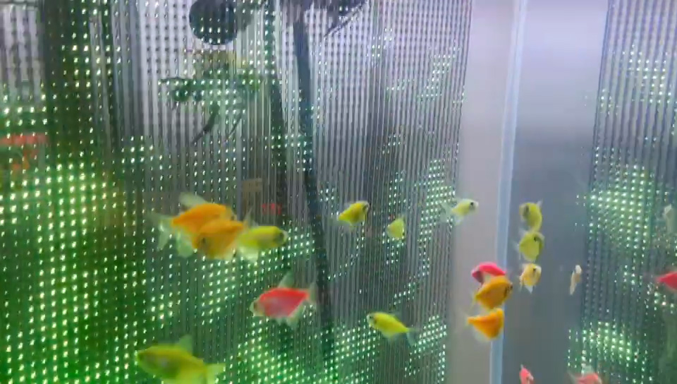 Большой LED-экран для бассейна, водный дисплей