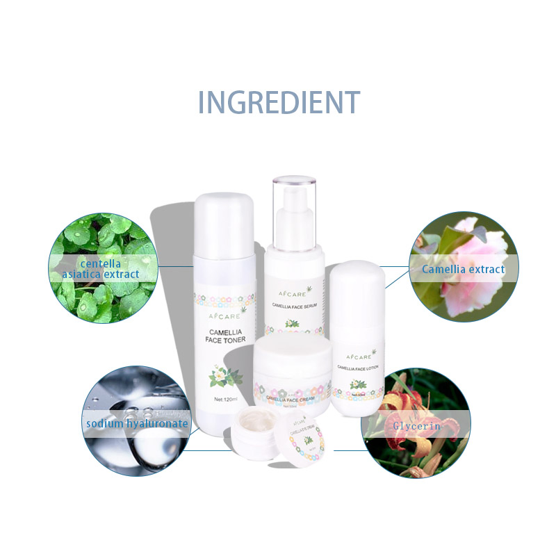 Customize Nourishing Organic Skin Care Set with Camellia Sinensis Extract