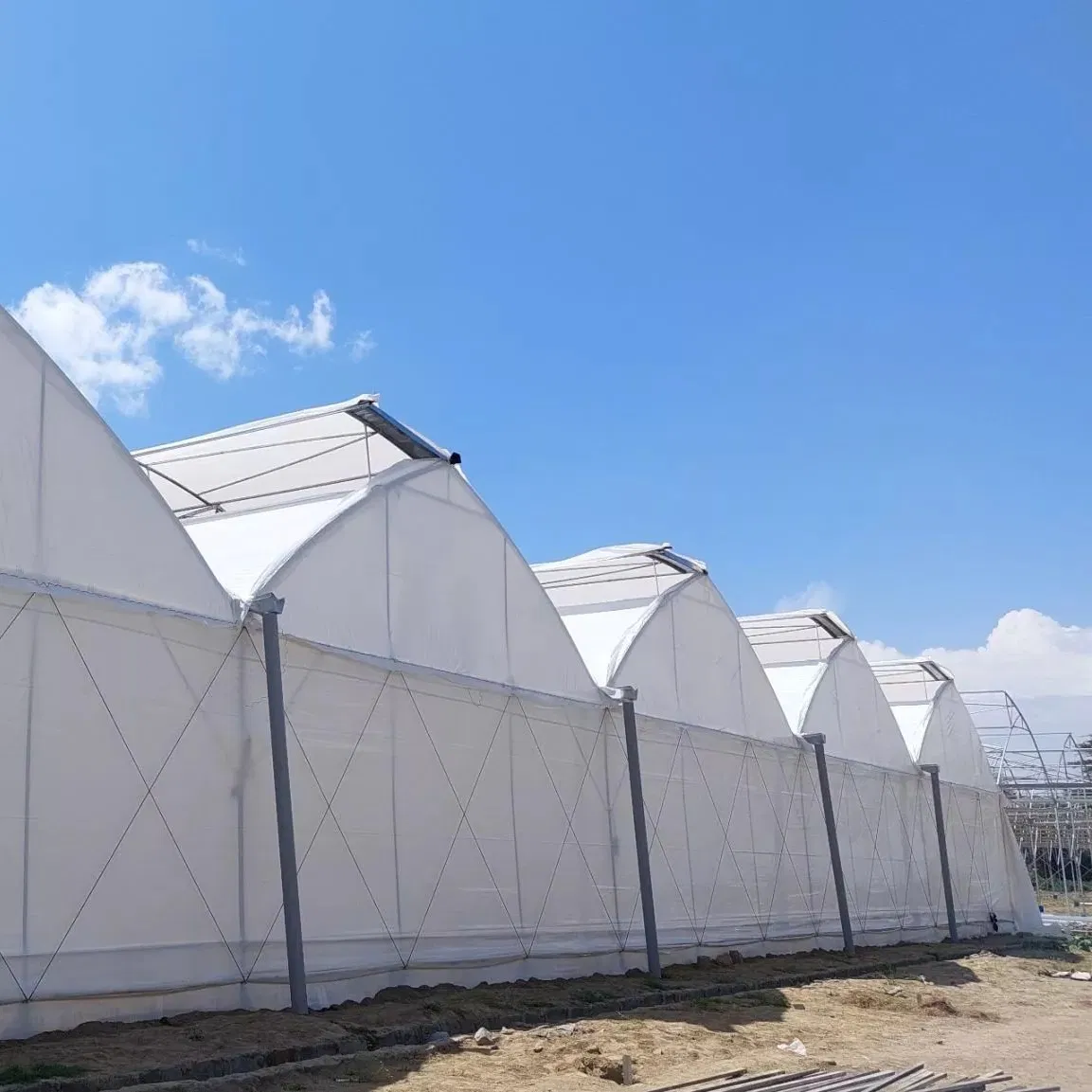 Po 150mic Warm Agro Multi Span Zigzag Agriculture Greenhouse for fruit Vegetables