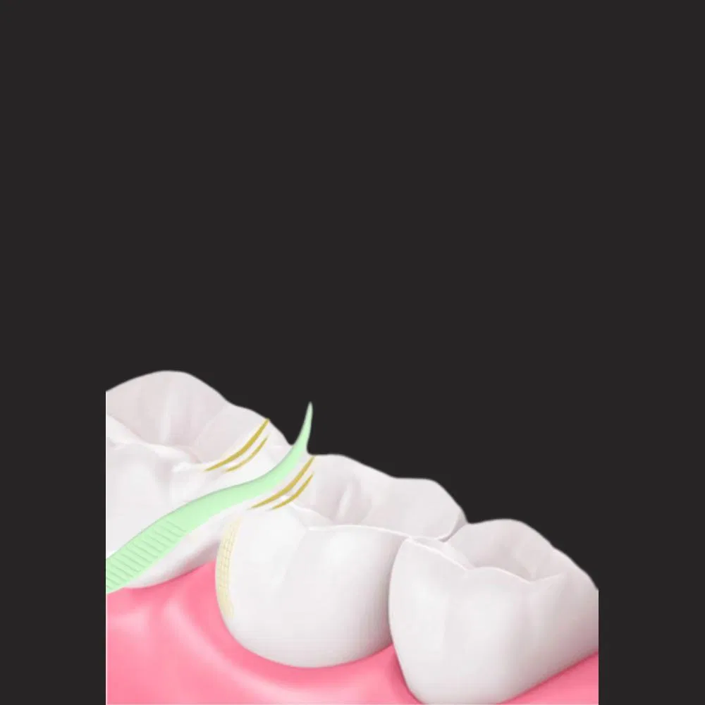 Disposable Independent Packaging Box High Elasticity Oral Cleaning Dental Floss