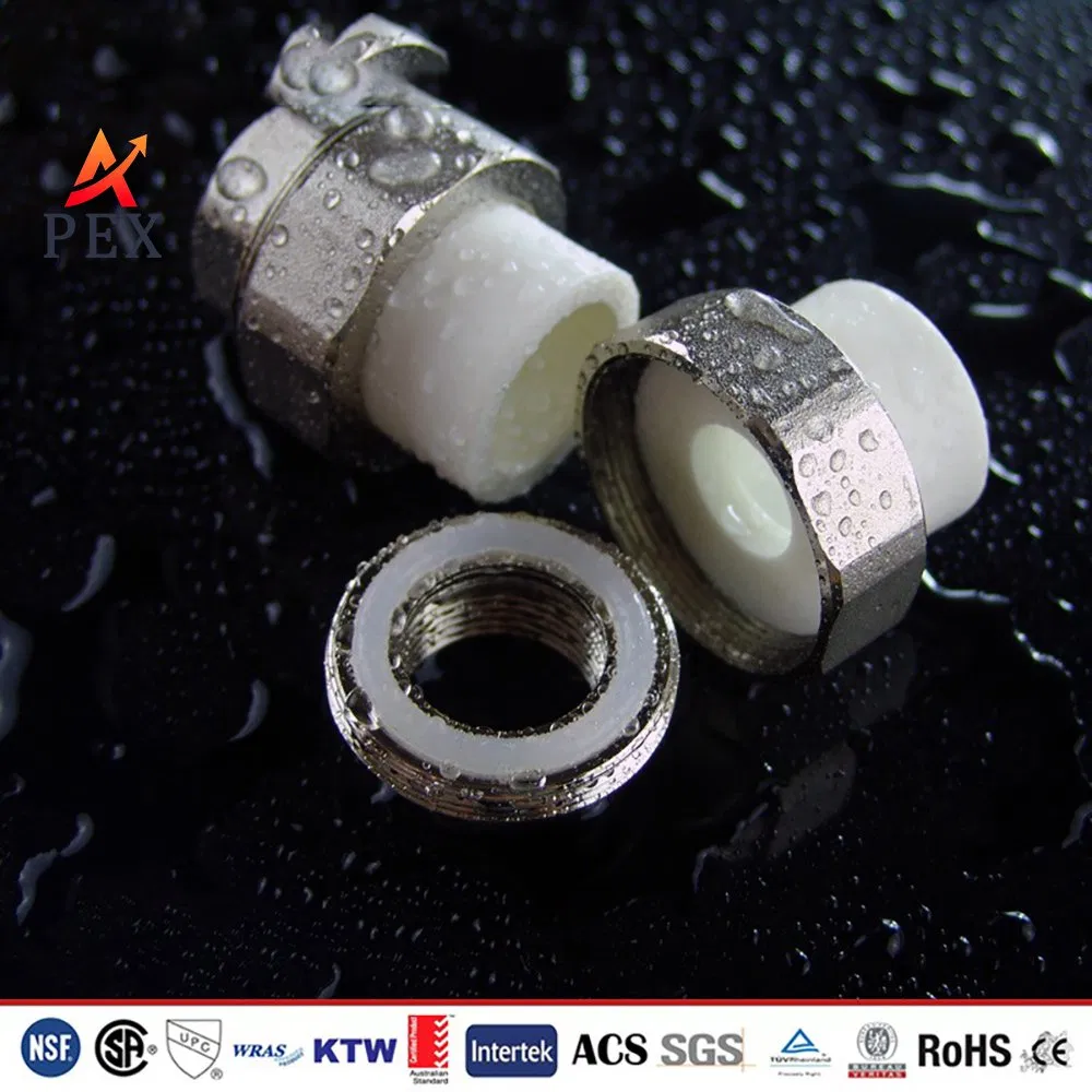 Factory Directed OEM Pn16 PPR Male Brass Fitting PPR Male Threaded Union with Brass 25*3/4