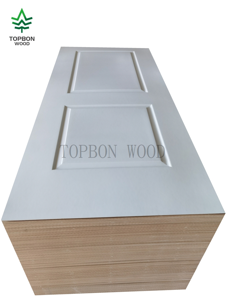 2 Panel White Primed Skin Interior Style Doors Wood MDF Modern Molded