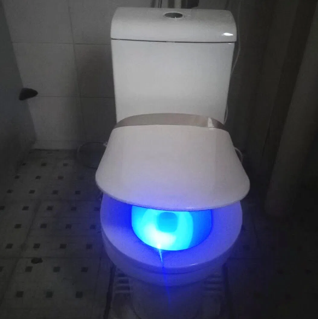 Xiamen Factory Smart Toilet Bidet