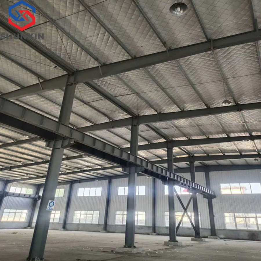 Custom Prefabricated Steel Structures Building for Shopping Malls and Warehouses