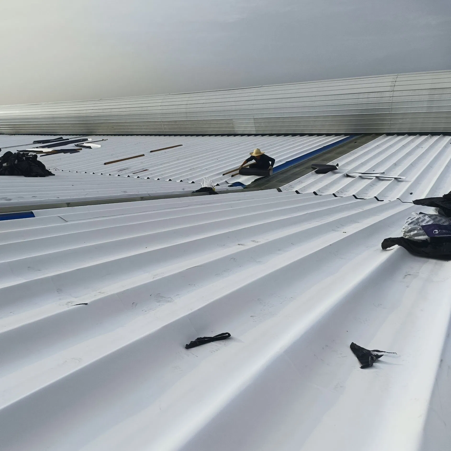 Optional Exposed/Non-Exposed Self-Adhesive Tpo Membrane