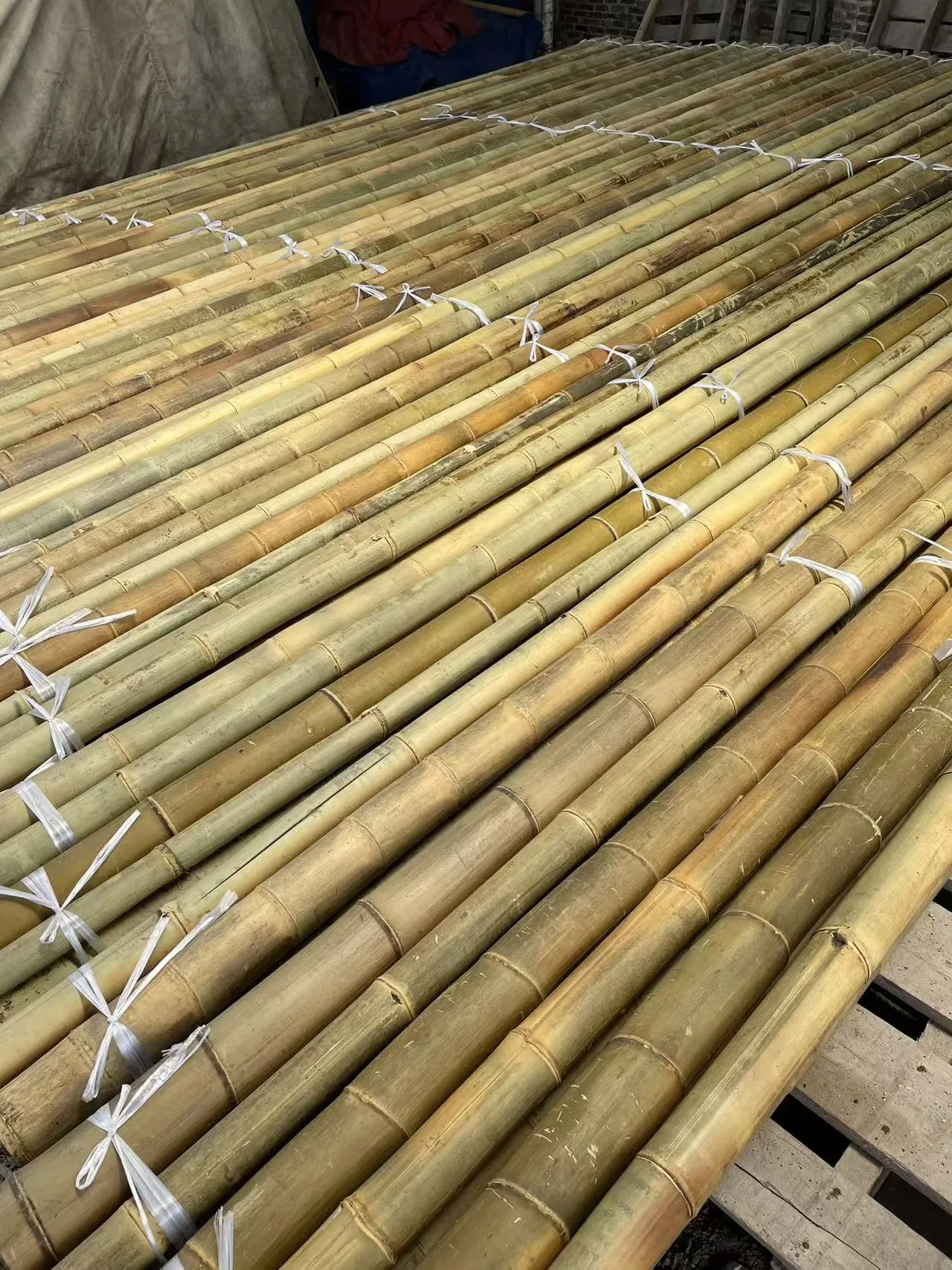 Premium Bamboo Poles for Plant Support High Quality Bulk Wholesale