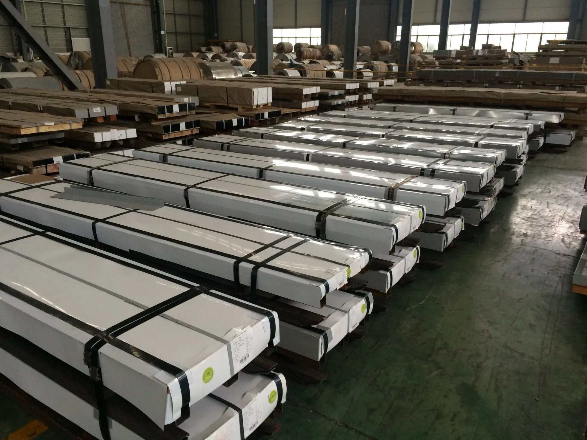 Pre Painted Steel Steet for Refrigerator