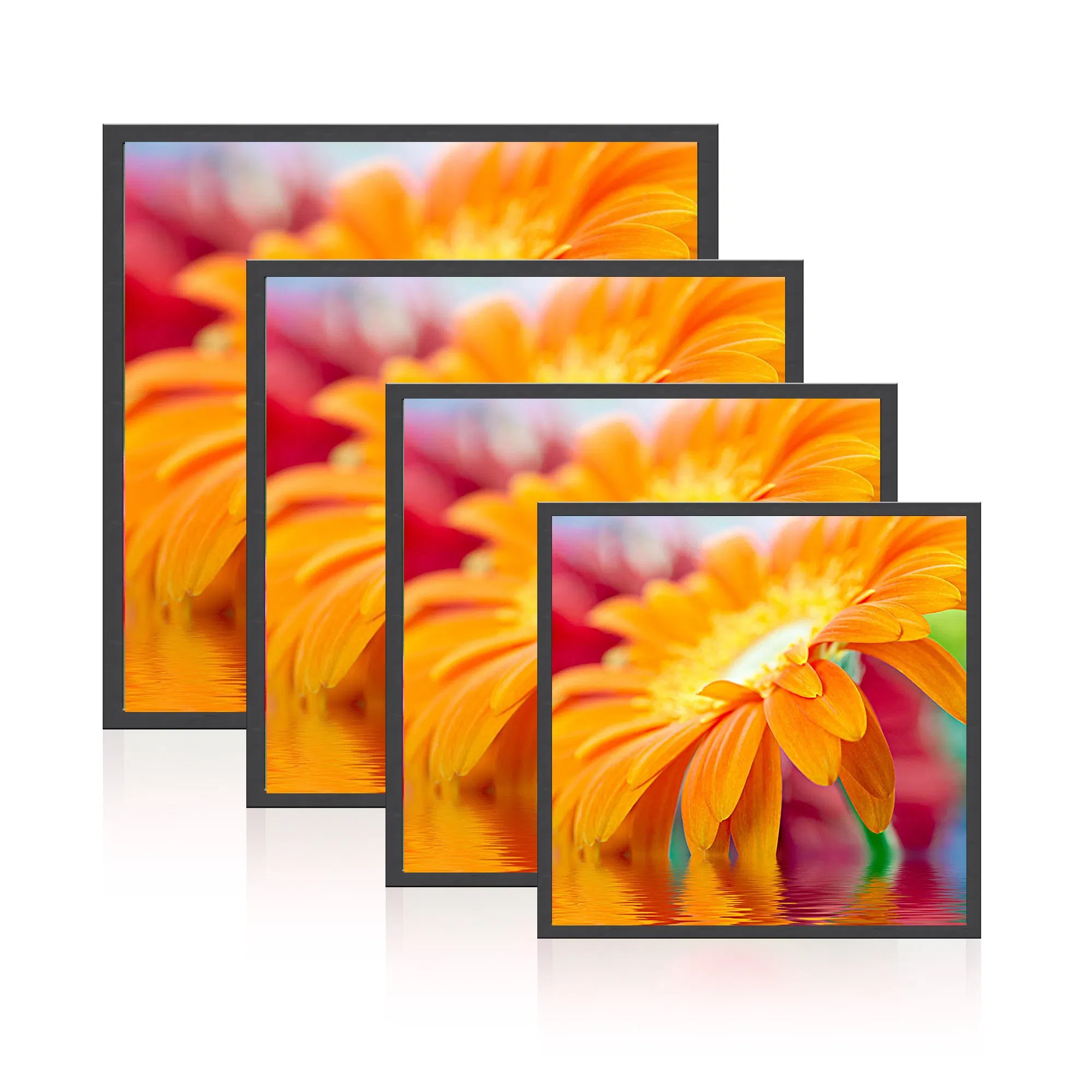 Wall-Mounted 19.2 Inch Square LCD Monitor Applied for Supermarket Advertising Player