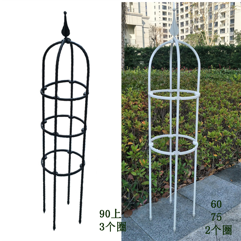 Galvanized Wire Frame Cone Tomato Cage