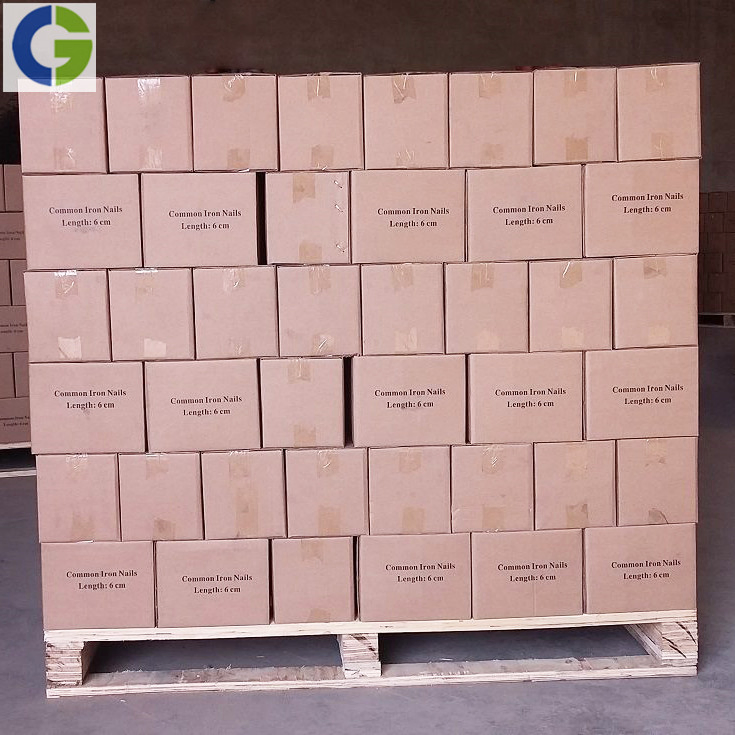 Polished Nail/Galvanized Common Iron Nail/ Wire Nail/Wooden Nail/Roofing Nail/Concrete Nail for Construction