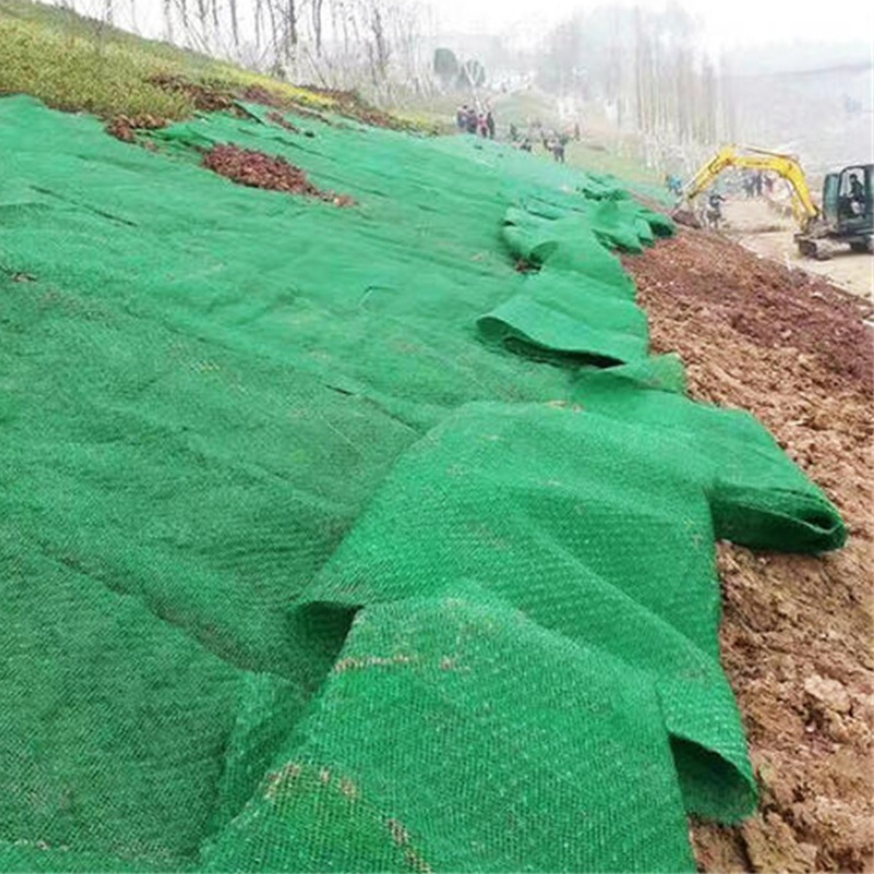 Lawn Coverage Vegetation Fixation Slope Protection Three-Dimensional Geomat Ecological Vegetation or Landscaping
