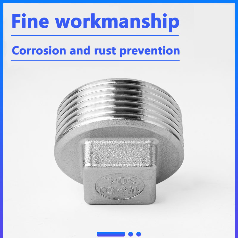 Stainless Steel Pipe Fittings 304 Thread 1'' Plug for Water Oil Gas