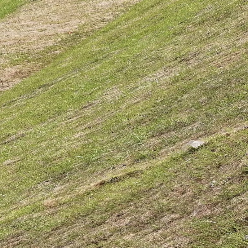 Coconut Fiber Blanket for Slope Protection/Barren Mountain Restoration/Anti-Impact Biological Mat