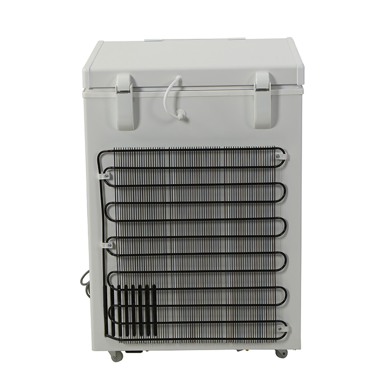 Low Price High-Performance 101L Mini Fridge Small Size Commercial Refrigerator Chest Freezer Horizontal Deep Freezer with Foaming Door