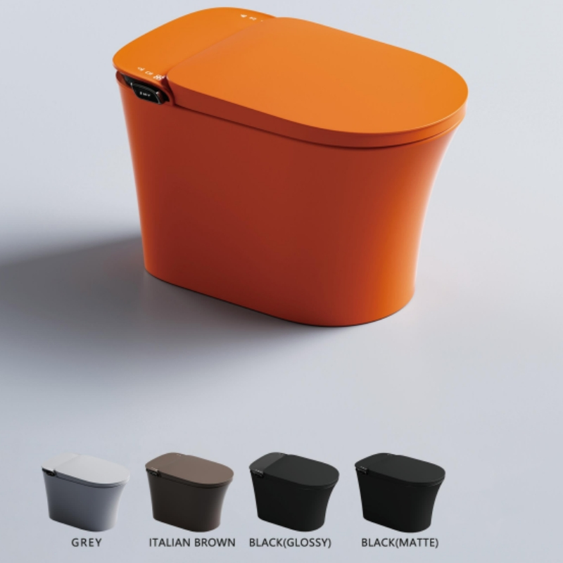 Modern Intelligent Toilet Ceramic Remote Control Intelligent Toilet Seat
