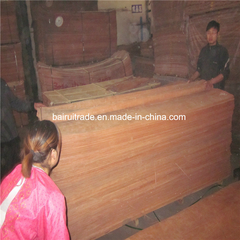 0.3mm Wood Veneer EV Engineer Engineered Face Veneer Pine Poplar Okoume Bingangor 4*8 for Plywood