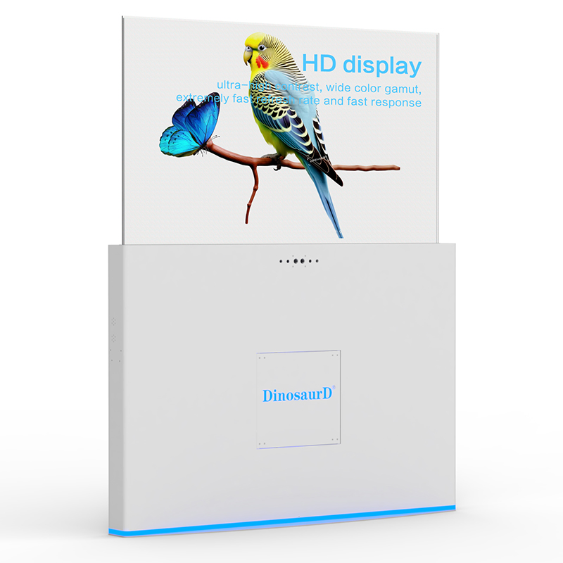 Indoor Floor Standing High Resolution Transparent OLED Digital Signage