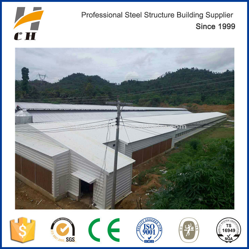 Professional Prefabricated Low Cost Chicken Shelter