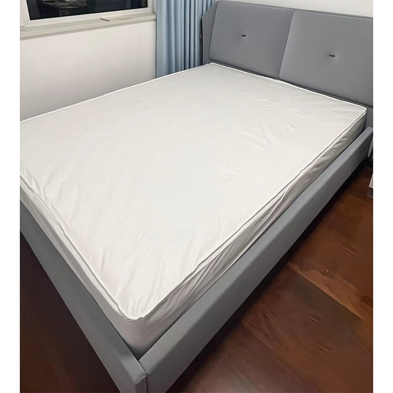 Home Essentials: Portable Non-Woven Disposable Bed Cover, Stain-Resistant & Easy-to-Use