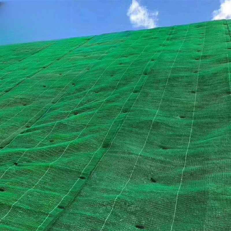 Smart 3D Vegetation Protective Netting, Intelligent Design and Eco-Friendly, for Reservoir Banks