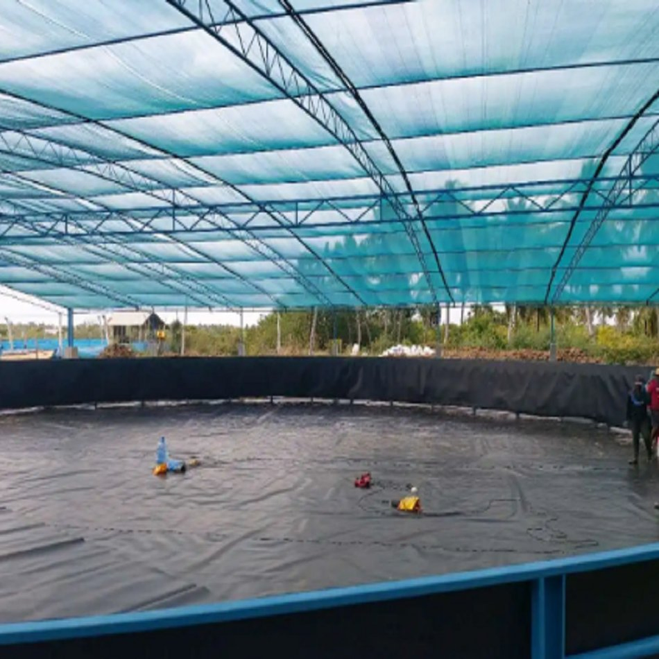 2.0mm Customized LDPE Membrane, Smooth 50m Length for Construction Use