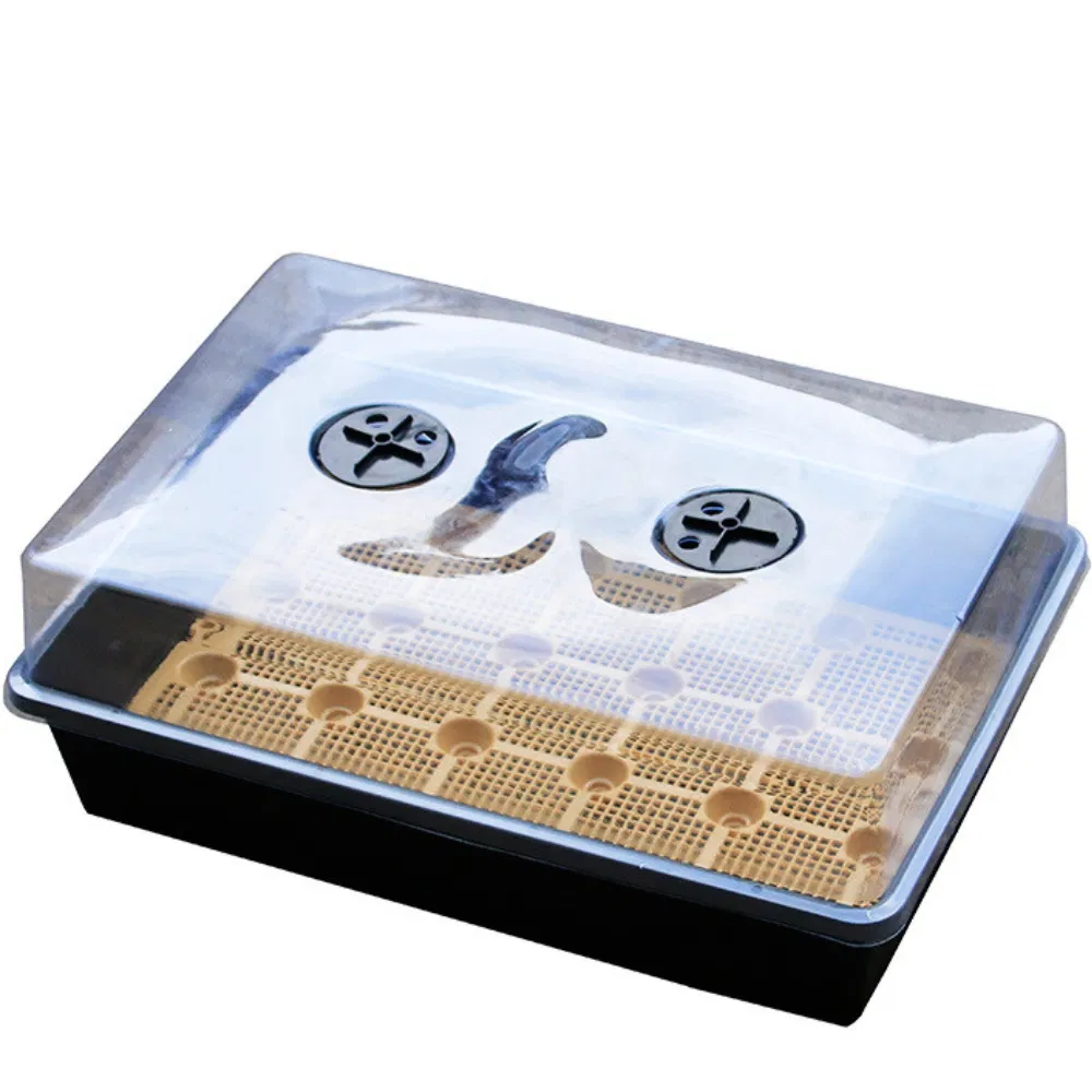 Мини-парник для рассады с прозрачной крышкой