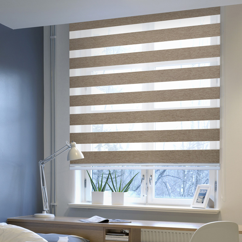 New Design Window Zebra Blinds with Dust Cover Inside Mount